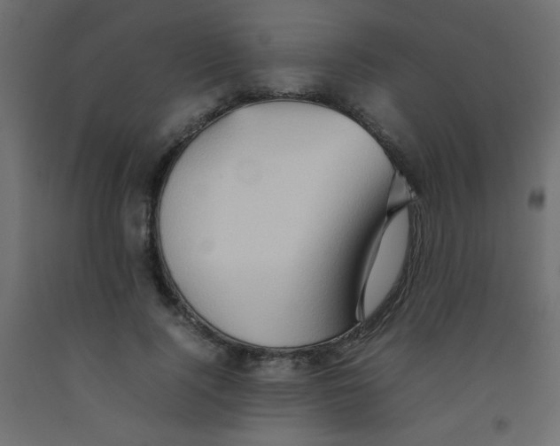 X0000092070740200710101018