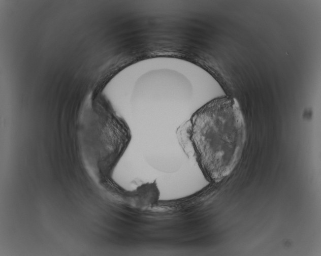 X0000092070741200710101018