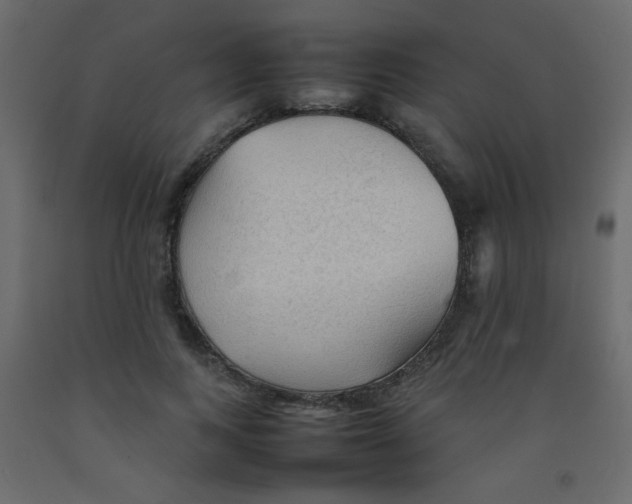 X0000092070743200710101018