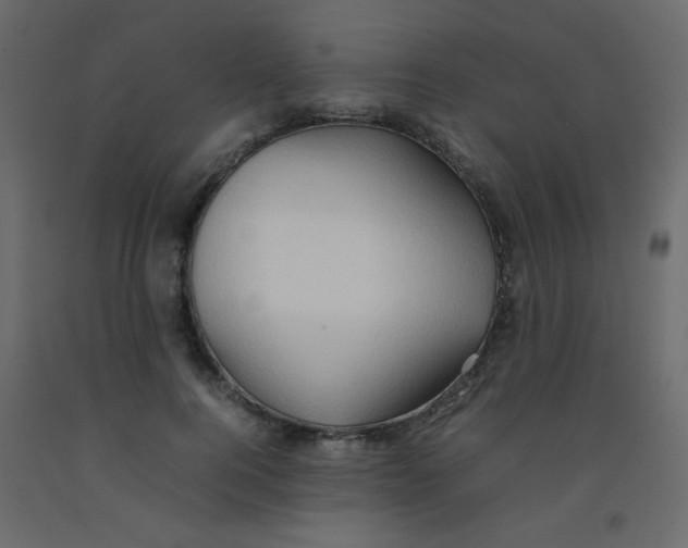 X0000092070744200710101018