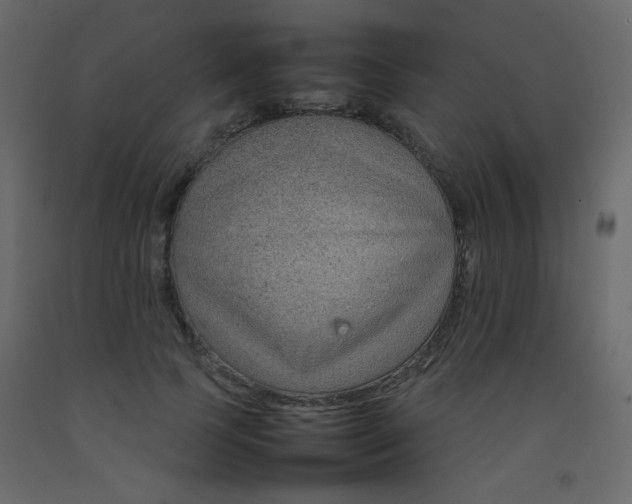 X0000092070745200710101018