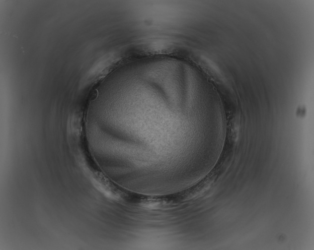 X0000092070746200710101018