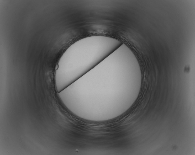 X0000092070747200710101018