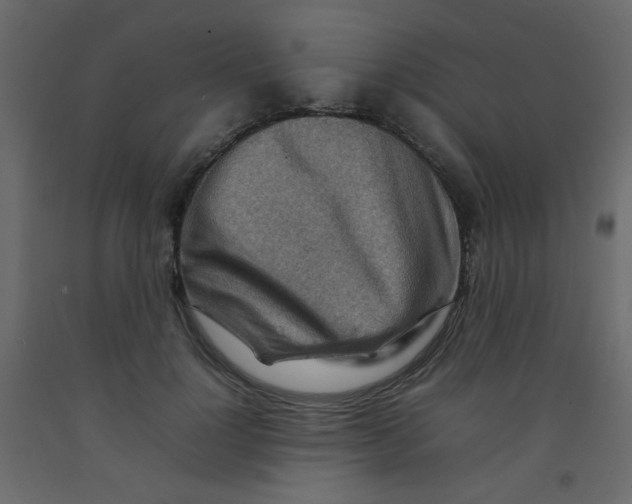 X0000092070748200710101018