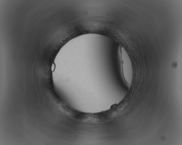 X0000092070750200710101018