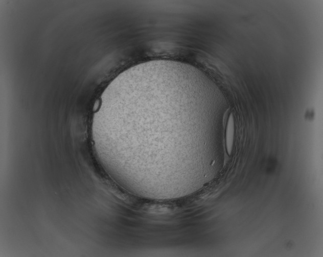 X0000092070751200710101018