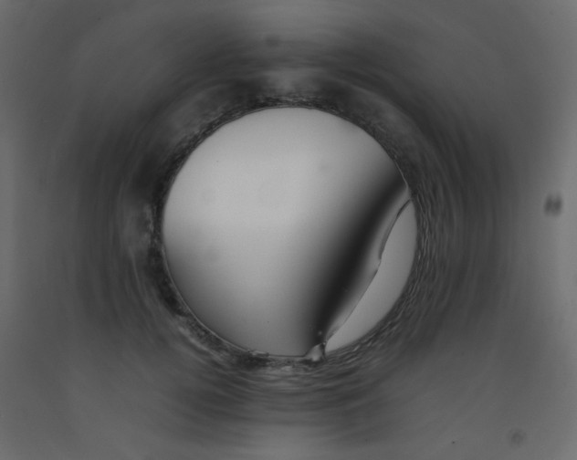 X0000092070752200710101018