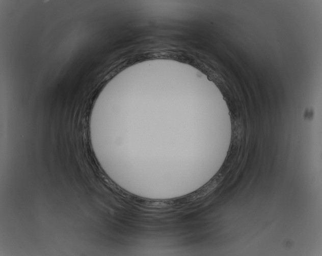 X0000092070754200710101018