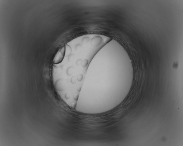 X0000092070755200710101018
