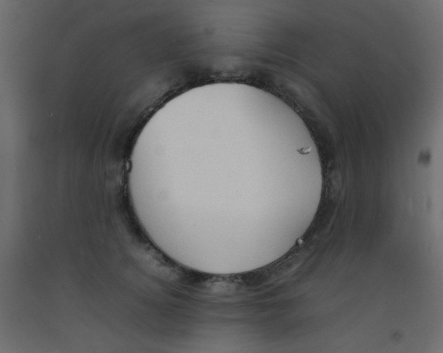X0000092070756200710101018