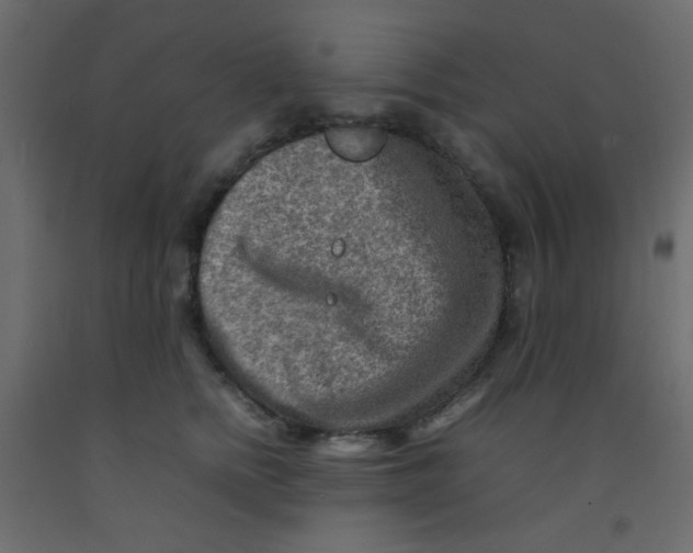 X0000092070758200710101018