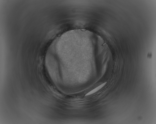 X0000092070759200710101018
