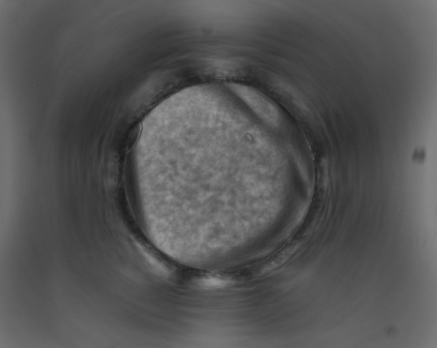 X0000092070760200710101018