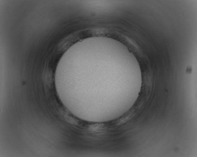 X0000092070761200710101018