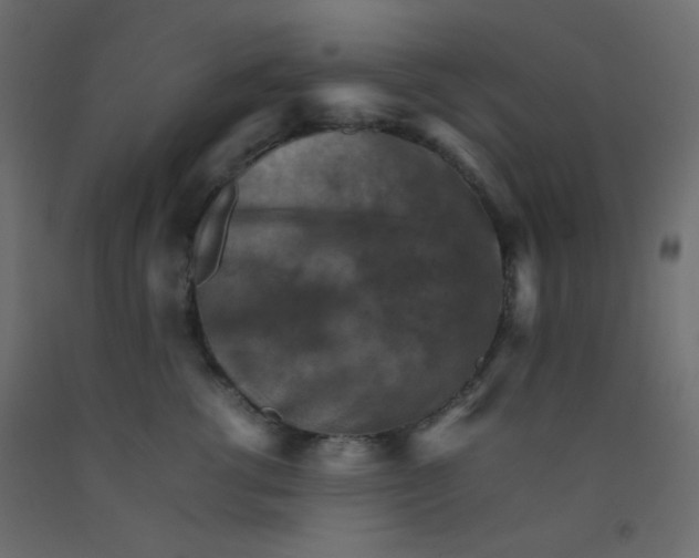 X0000092070762200710101018