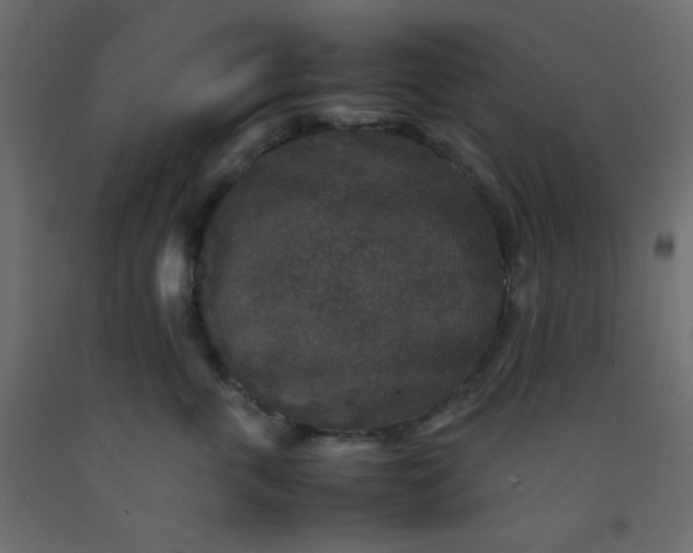 X0000092070763200710101018