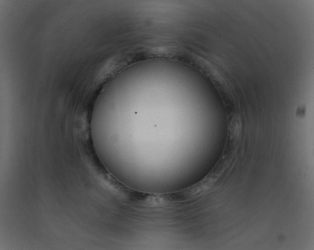 X0000092070764200710101018