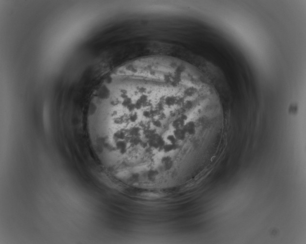 X0000092070765200710101018
