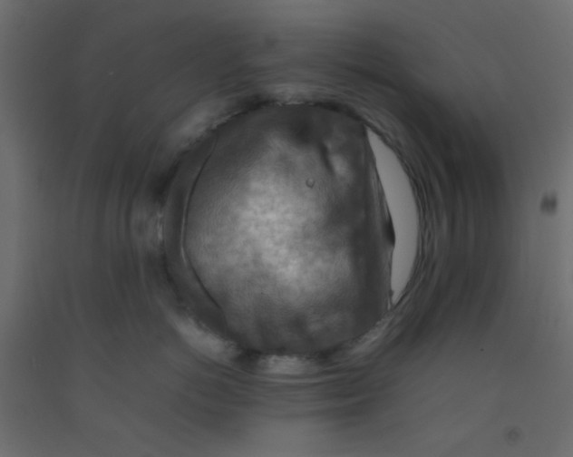 X0000092070766200710101018