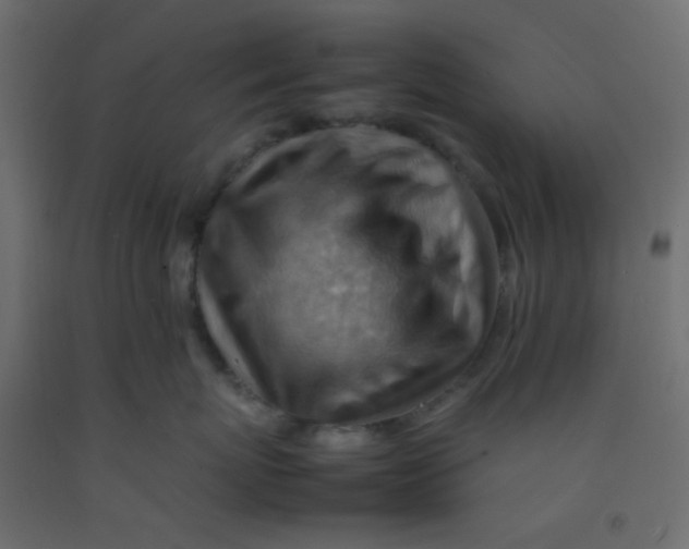 X0000092070767200710101018