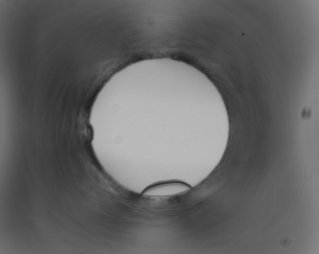 X0000092070768200710101018