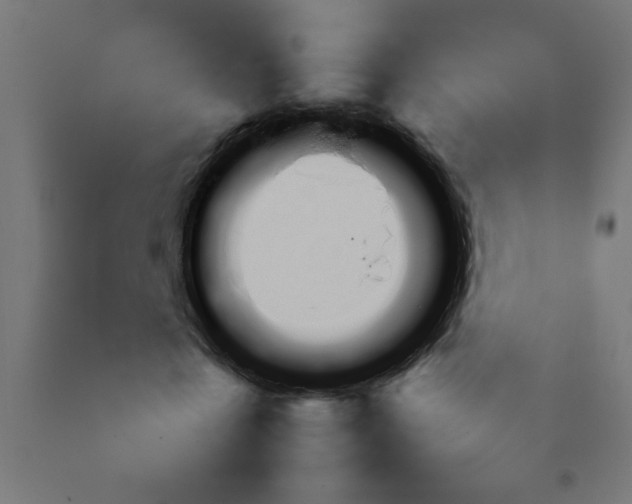 X0000092070769200710101018