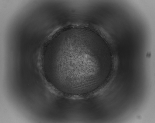 X0000092070770200710101018