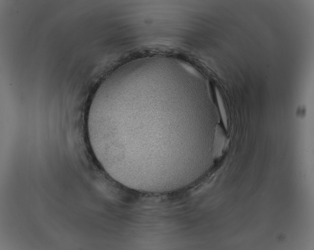 X0000092070771200710101018