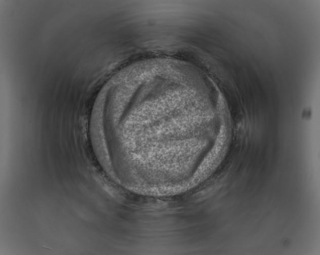 X0000092070772200710101018