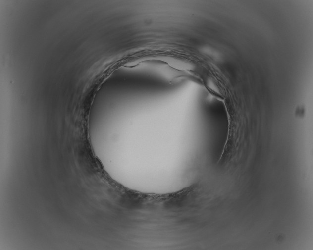 X0000092070773200710101018