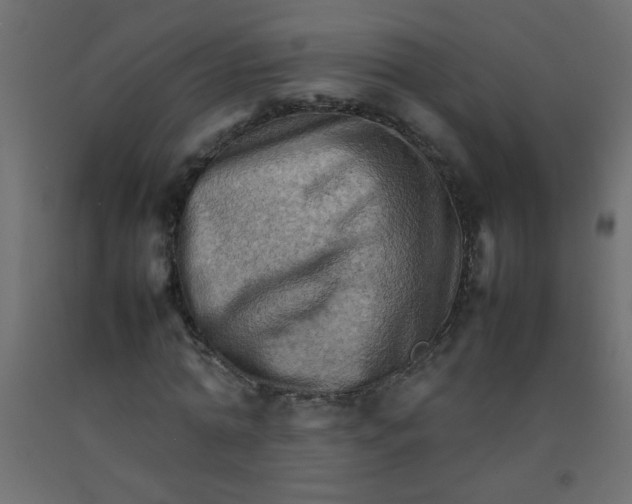 X0000092070774200710101018