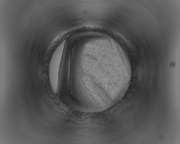 X0000092070776200710101018
