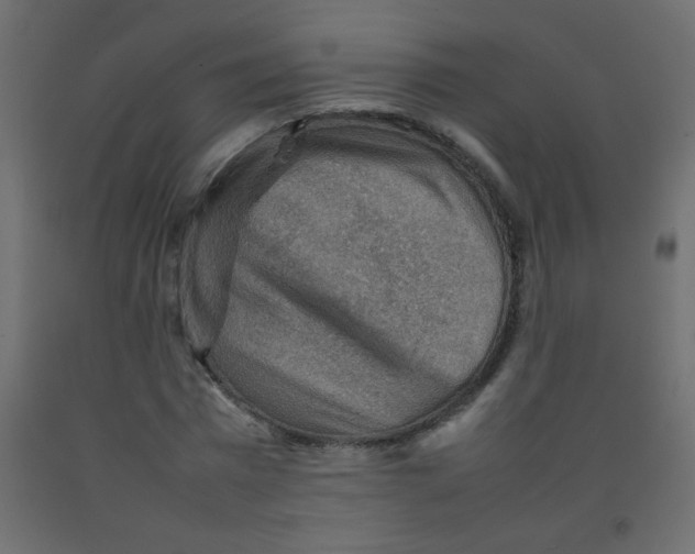 X0000092070777200710101018