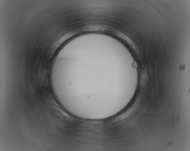 X0000092070778200710101018