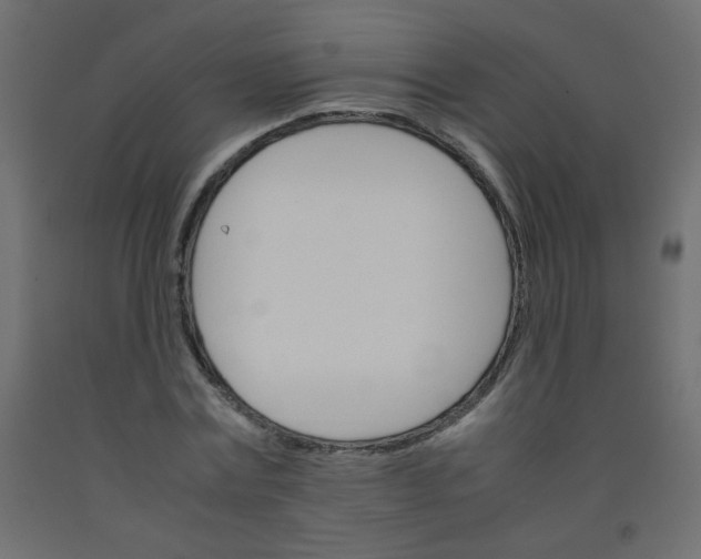 X0000092070779200710101018
