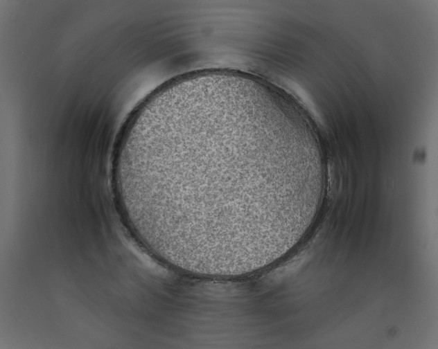X0000092070780200710101018