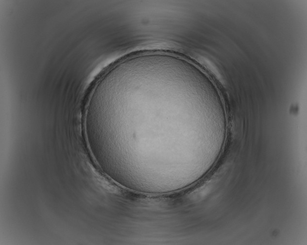 X0000092070781200710101018