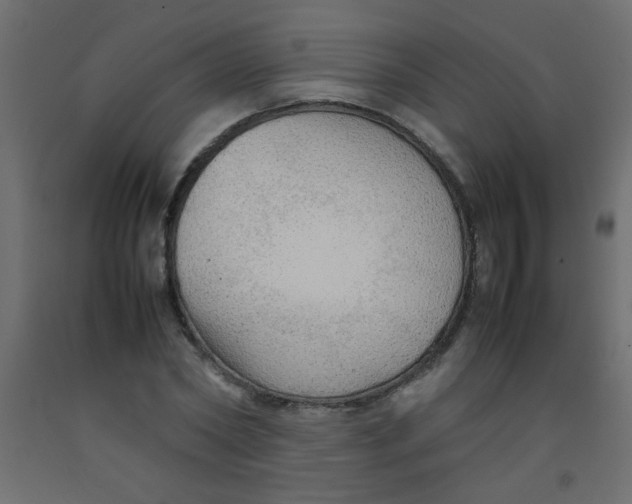 X0000092070782200710101018