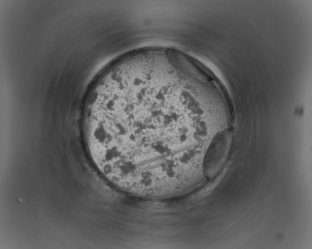X0000092070783200710101017