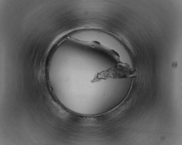X0000092070784200710101017