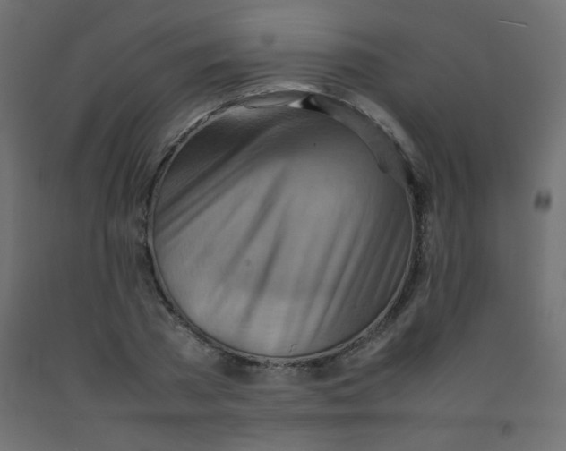 X0000092070785200710101017