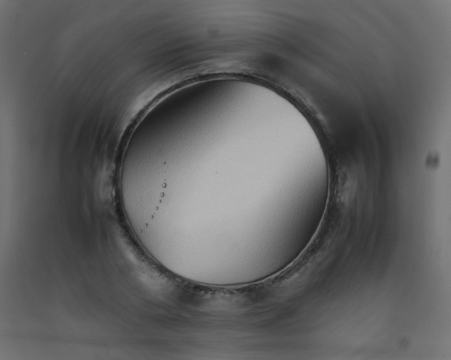 X0000092070786200710101017