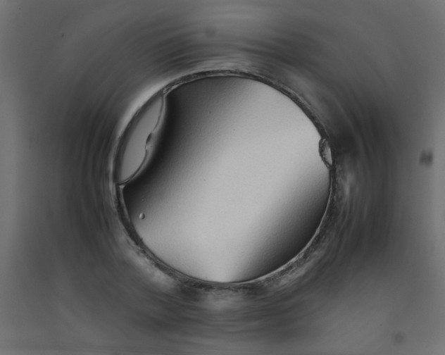 X0000092070788200710101017