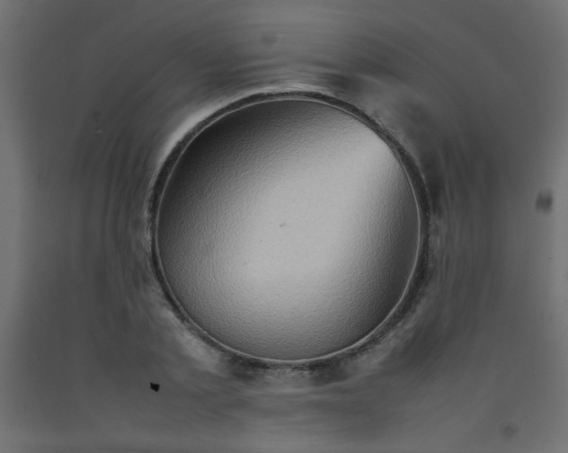 X0000092070789200710101017