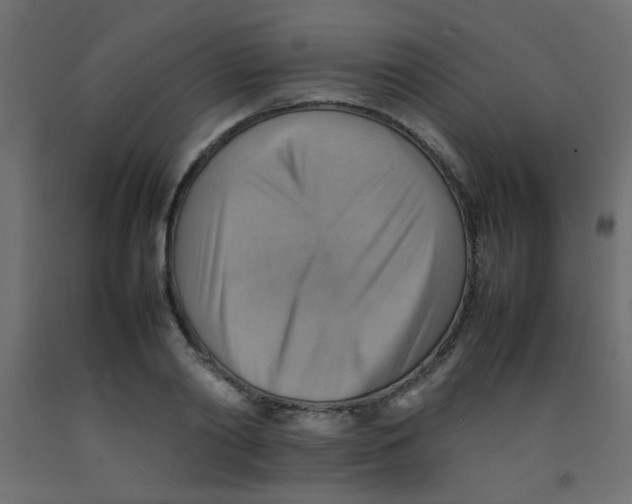 X0000092070790200710101017