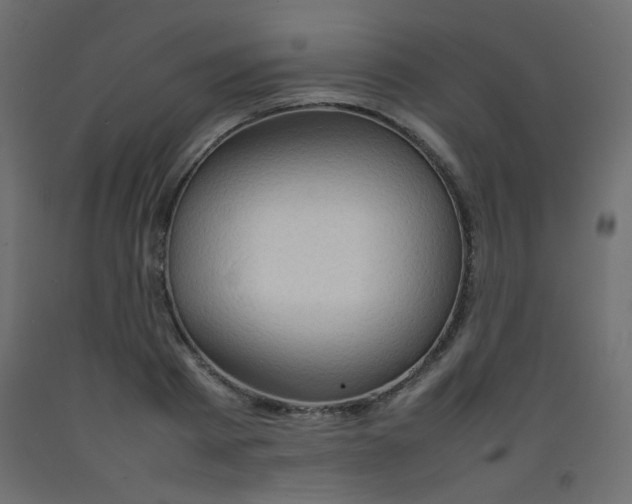 X0000092070793200710101017