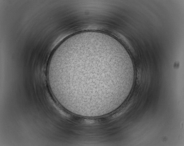 X0000092070794200710101017