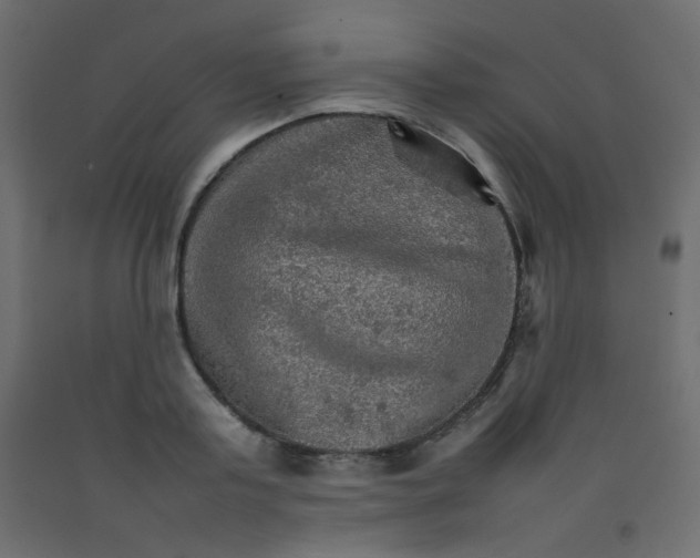 X0000092070795200710101017