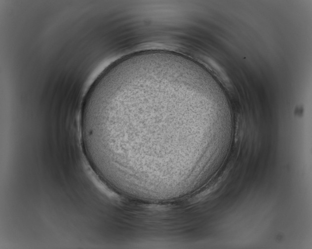 X0000092070796200710101017
