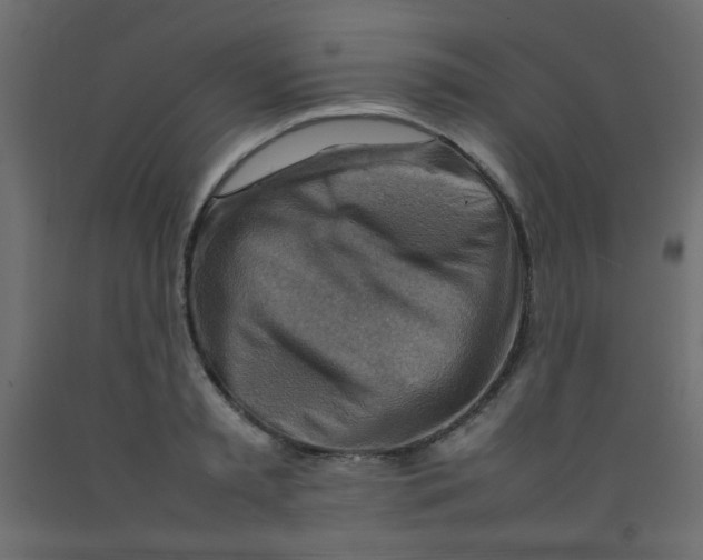 X0000092070797200710101017